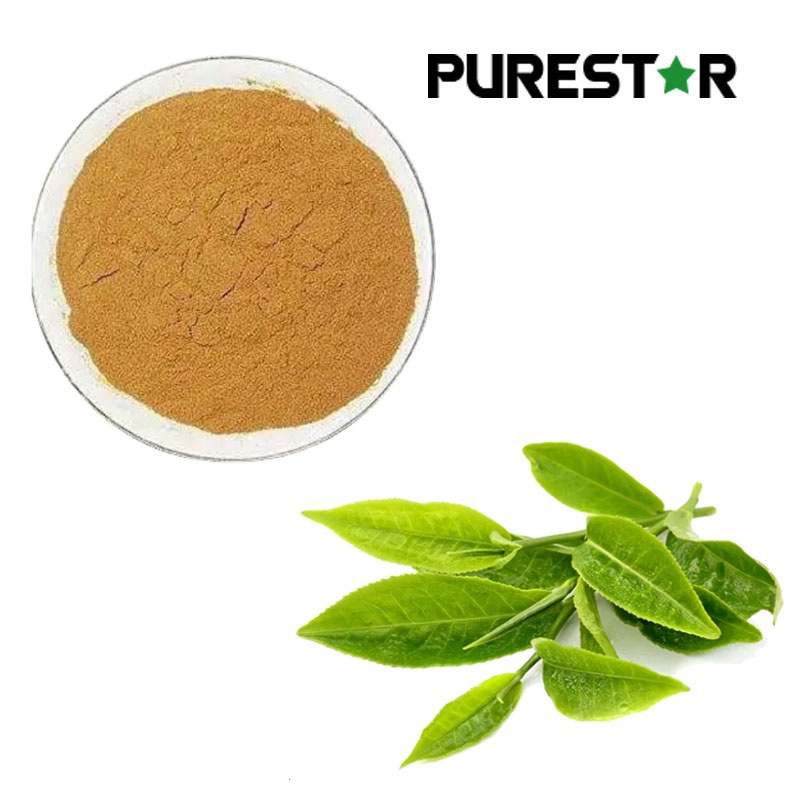 Green Tea Extract (Polyphenol, Catechins, EGCG)