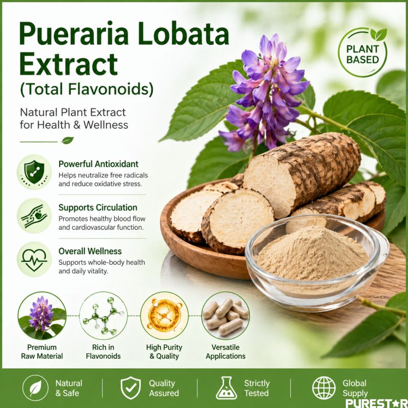 What Are the Functional Properties of Pueraria Lobata Extract (Total Flavonoids) Based on Its Natural Bioactivity?