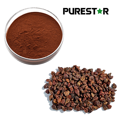 Grape Seed Extract vs Other Antioxidants: Key Differences and Use Logic