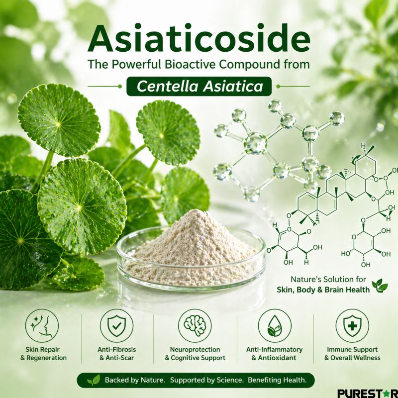 What Makes Asiaticoside from Centella Asiatica So Valuable for Skin Repair, Anti-Fibrosis, and Neuroprotection?