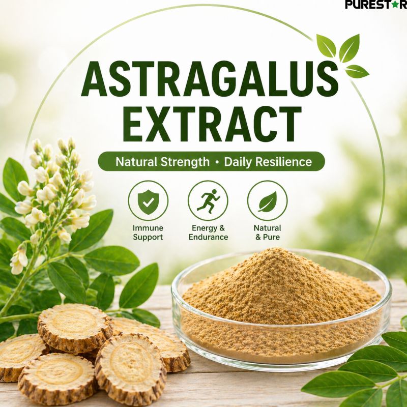 Can Astragalus Extract Enhance Anti-Fatigue Performance and Hypoxia Resistance in Modern Health Applications?