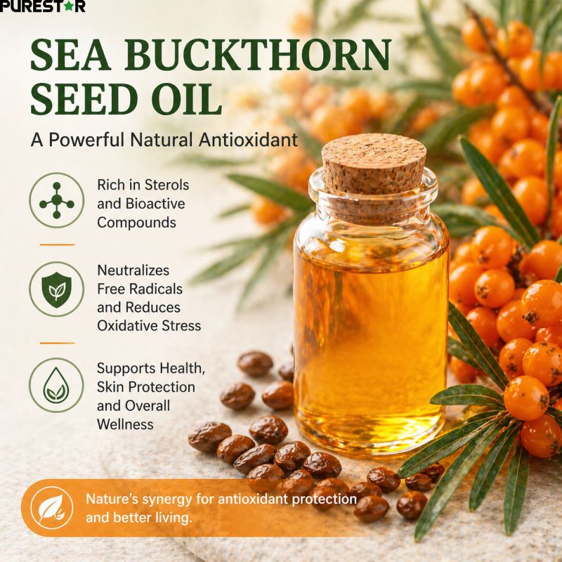 What Are the Key Components and Antioxidant Mechanisms of Sea Buckthorn Seed Oil?