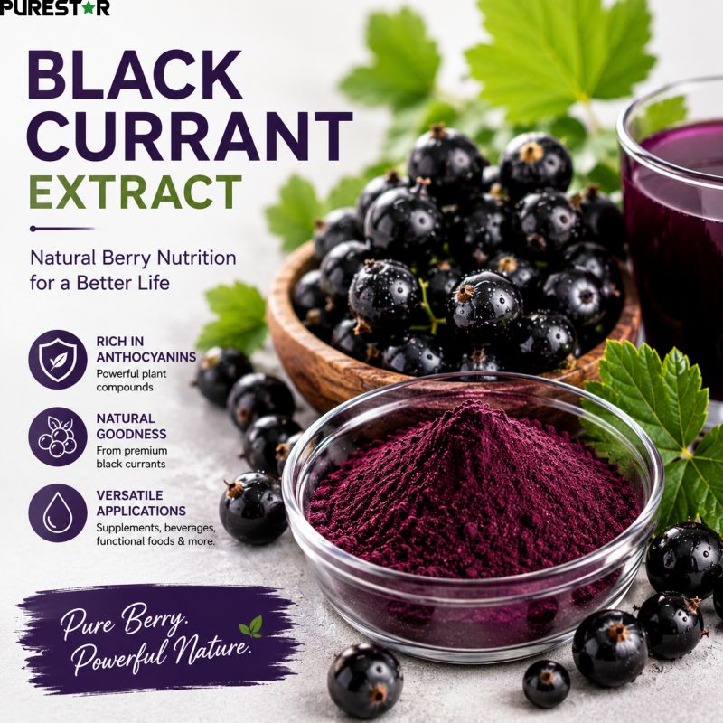 Why Is Black Currant More Than Just a Berry?