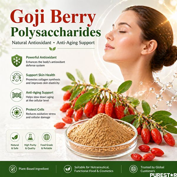 Can Goji Berry Polysaccharides Truly Slow Down Aging?