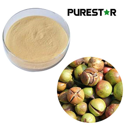 How Does Tea Saponin Enhance Pesticide Performance and Sustainable Agriculture?