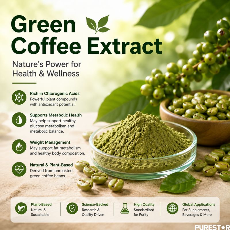 What Research Has Revealed About the Functional Properties and Applications of Green Coffee Extract?