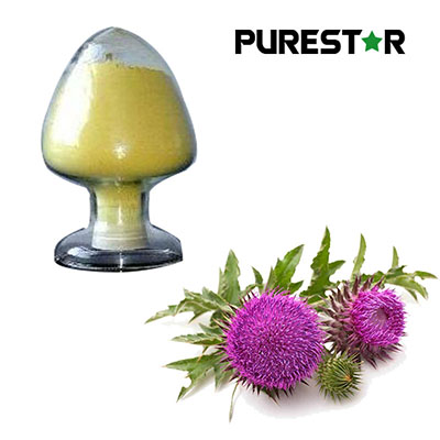 Can Milk Thistle Extract Really Protect the Liver and How Does Milk Thistle Extract Support Liver Health Scientifically?