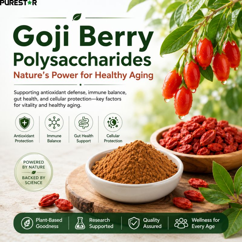 Why Have Goji Berry Polysaccharides Become an Important Topic in Healthy Aging Research?