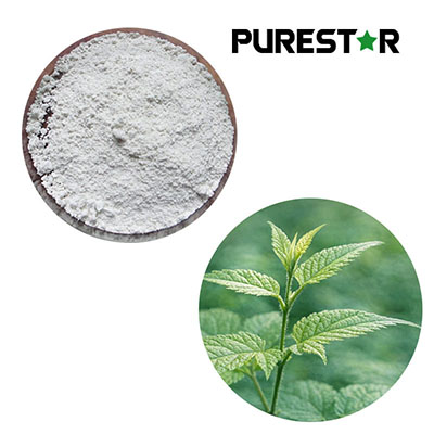 Is Dihydromyricetin from Vine Tea a Superior Natural Antioxidant Compared to Vitamin C?