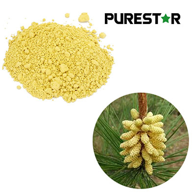 What Makes Pine Pollen Powder a Unique Natural Nutrient Source for Modern Health?