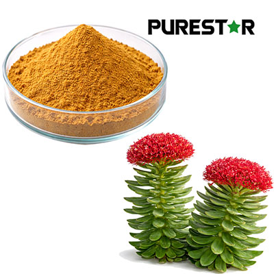Rhodiola crenulata extract anti fatigue effects scientific mechanisms and physiological benefits