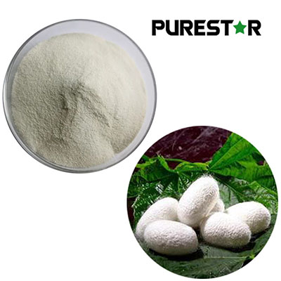 Is Edible Silk Protein Powder the Next Breakthrough in Functional Nutrition?