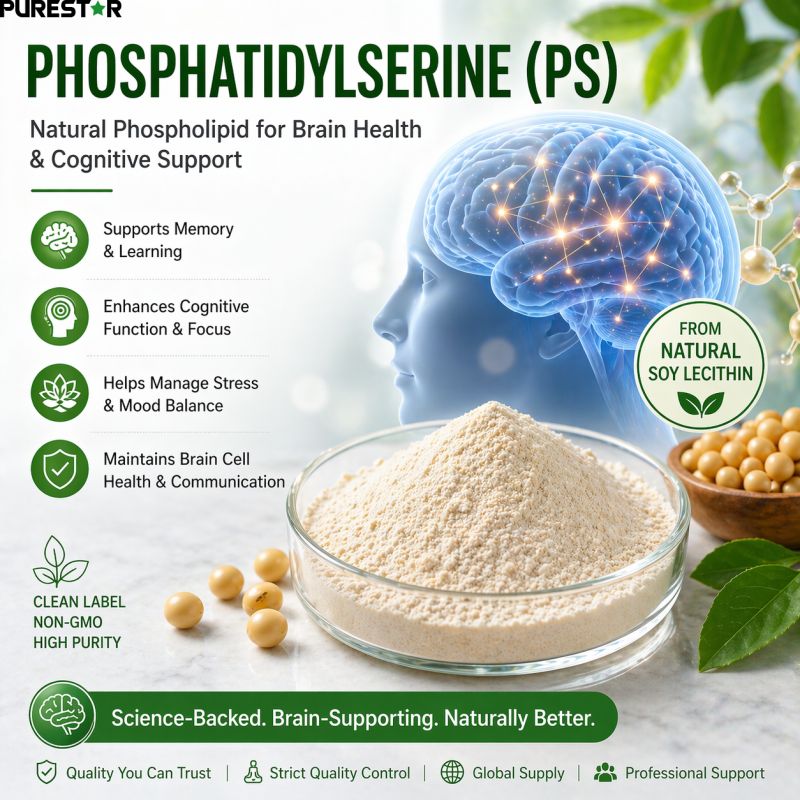 Can Phosphatidylserine Improve Memory, Support Cognitive Function, and Help the Brain Resist Stress?