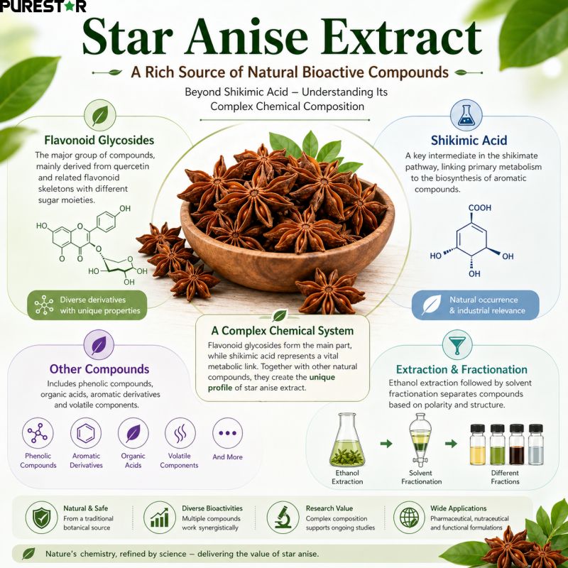 What Compounds Are Found in Star Anise Extract? Understanding Its Chemical Composition Beyond Shikimic Acid