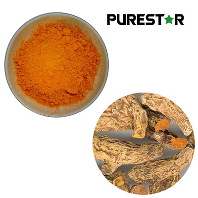 Curcumin Aquaculture Applications: How Curcumin Feed Additive Enhances Antioxidant Defense, Immune Function, and Growth Performance in Aquatic Animals