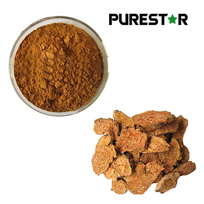 How Does Rhodiola Rosea Extract Improve Anti-Fatigue Performance and Enhance Energy Metabolism Through Scientifically Proven Mechanisms?