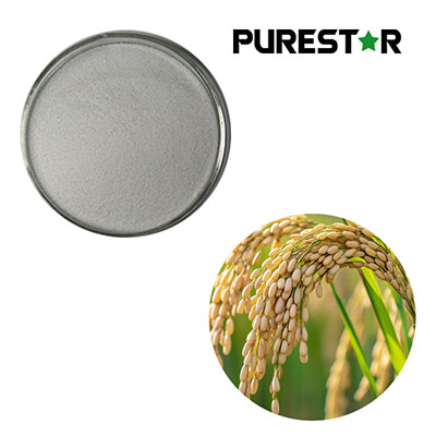 Octacosanol: A Safe and High-Value Functional Ingredient Driving the Future of Nutrition and Health Industries