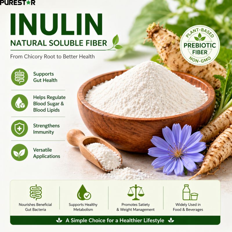 What Are the Functional Properties and Application Prospects of Inulin?