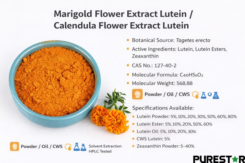 Marigold flower extract lutein is a natural carotenoid raw material derived from Tagetes erecta, available in powder, oil, and CWS forms, containing lutein, lutein esters, and zeaxanthin for use in food, supplement, cosmetic, and feed formulations.