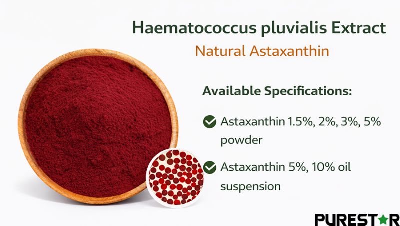 Natural astaxanthin extracted from Haematococcus pluvialis, presented as a deep red powder with standardized specifications including astaxanthin 1.5%, 2%, 3% and astaxanthin 5% powder, suitable for food, supplement, cosmetic and feed formulations.