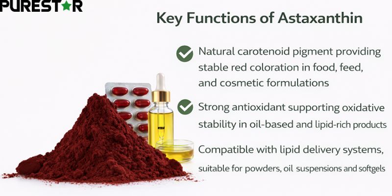 Lipid-soluble astaxanthin derived from Haematococcus pluvialis, shown in dark red powder and softgel formats, emphasizing stable coloration, oxidative support in lipid systems, and suitability for powders, oil suspensions, and encapsulated formulations.
