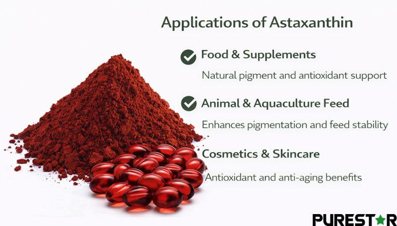 Astaxanthin used across food and dietary supplements, animal and aquaculture feed, and cosmetic formulations, supporting natural pigmentation, antioxidant functionality, formulation stability, and visual appeal in powder, softgel, and lipid-based systems.