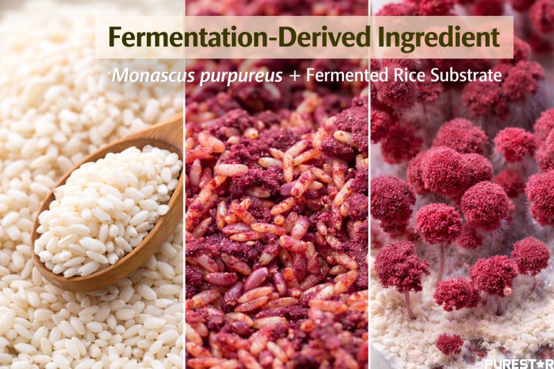 Fermentation-derived Red Yeast Rice made from Monascus purpureus cultivated on rice substrate, illustrating the transformation from raw rice to fermented material.