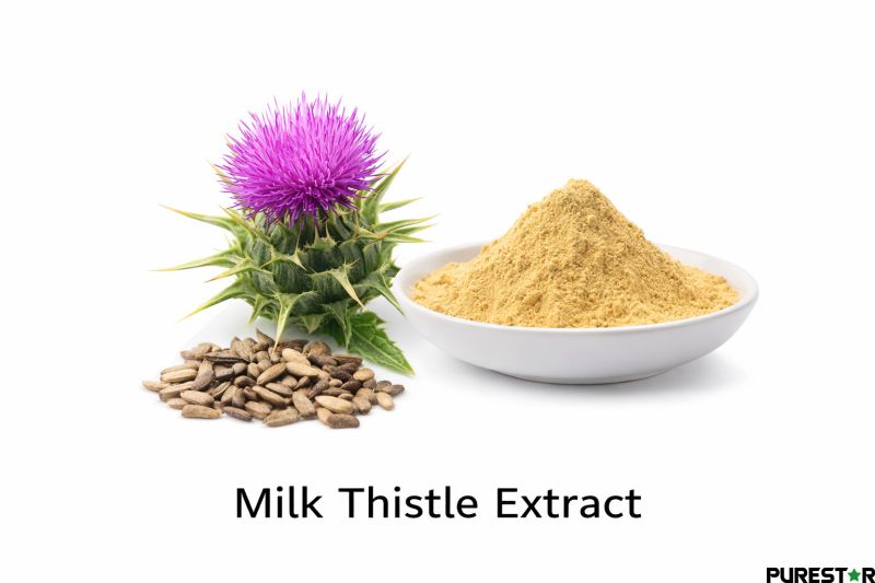 Milk thistle extract powder derived from Silybum marianum seeds, featuring natural silymarin and silybin as key flavonolignan components.