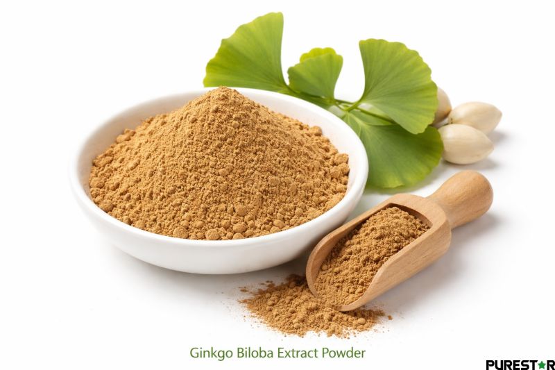 Ginkgo Biloba Extract powder with brown fine appearance, illustrating standardized botanical extract for food and pharmaceutical applications