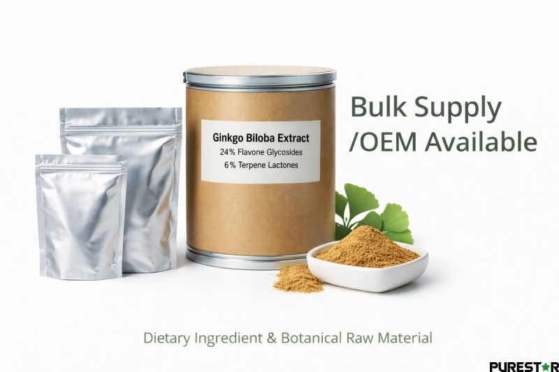 Bulk supply of Ginkgo Biloba Extract with industrial packaging, suitable for OEM, private label, and global raw material distribution