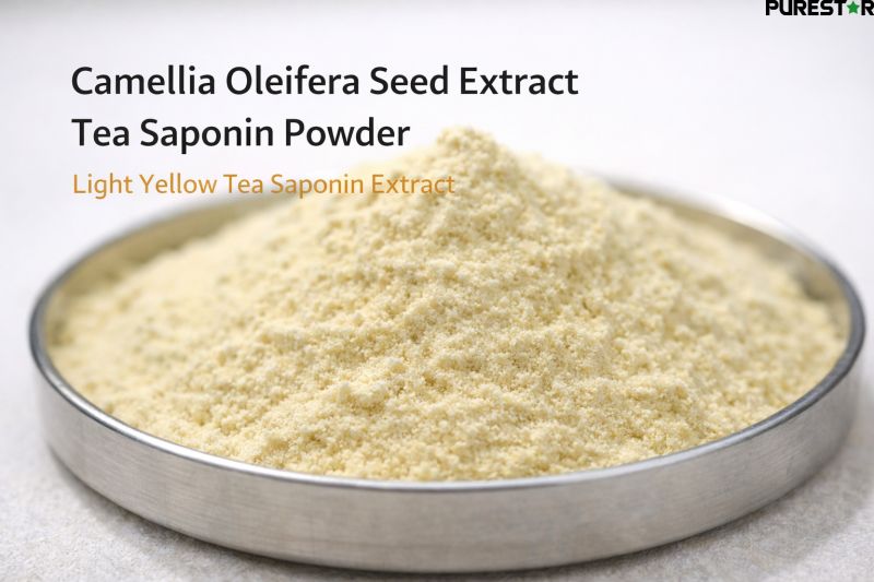 Camellia oleifera seed extract tea saponin powder light yellow appearance, high purity tea saponin surfactant raw material for industrial and agricultural formulations
