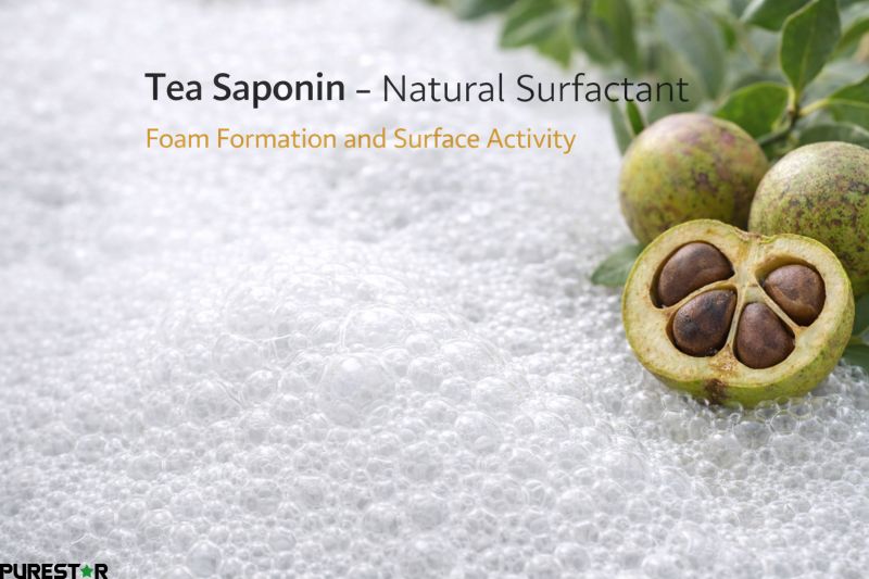 Camellia oleifera seed extract tea saponin natural plant surfactant showing foam formation and surface activity, eco-friendly tea saponin emulsifier from camellia seed extract