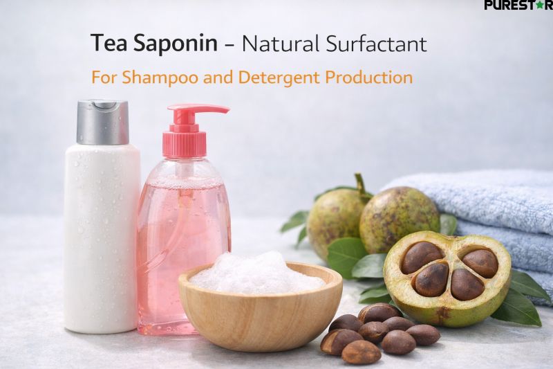 Camellia oleifera seed extract tea saponin used in shampoo and detergent production as natural plant surfactant, biodegradable tea saponin cleaning and emulsifying agent