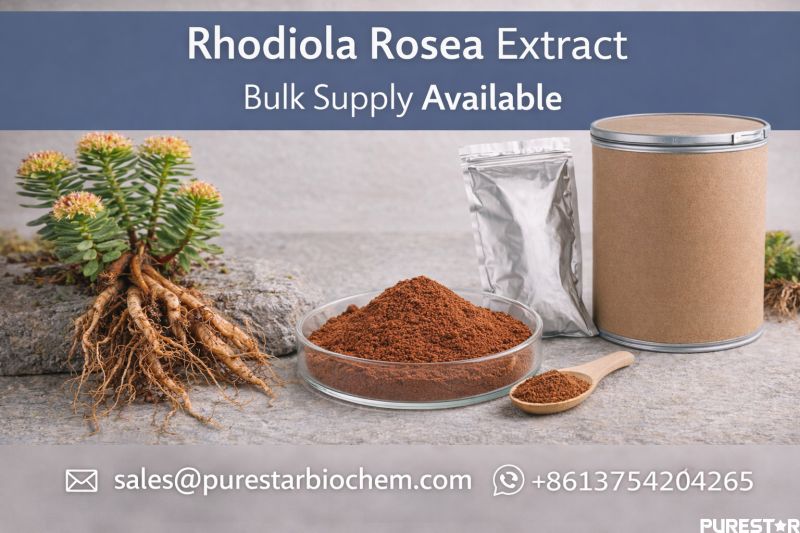 Rhodiola Rosea Extract bulk supply showing botanical roots, extract powder, and industrial packaging highlighting availability for supplement manufacturers and global nutraceutical suppliers