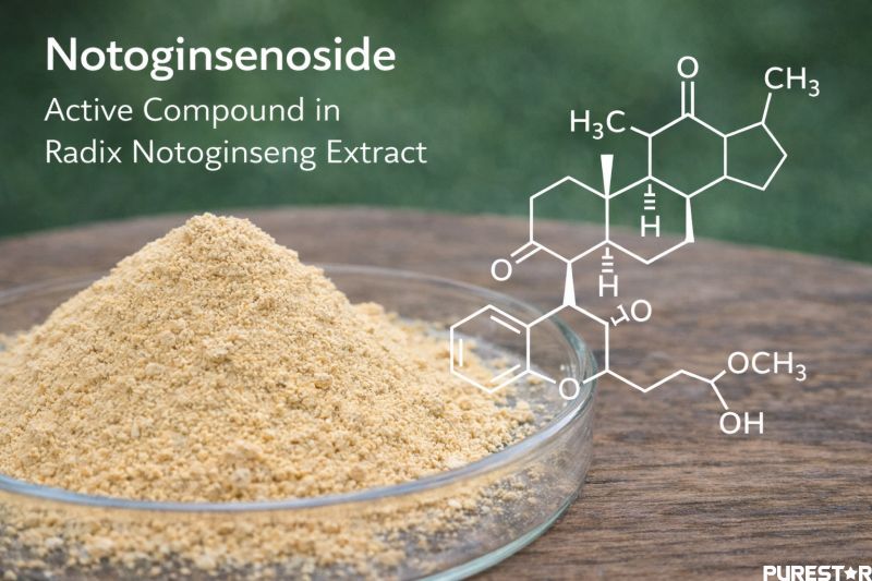 Notoginsenoside molecular structure with Radix Notoginseng Extract powder illustrating the active compound Notoginsenosides for quality standardization