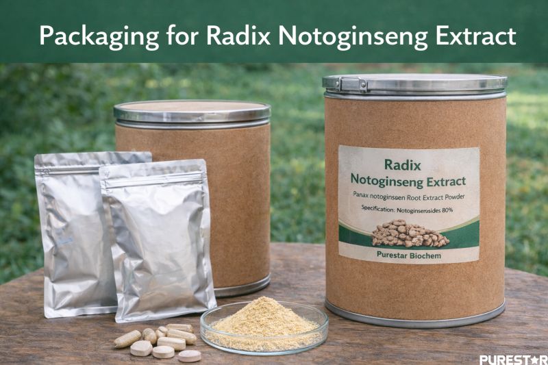 Radix Notoginseng Extract bulk packaging in fiber drums and foil bags suitable for global supply of standardized Notoginsenosides raw materials
