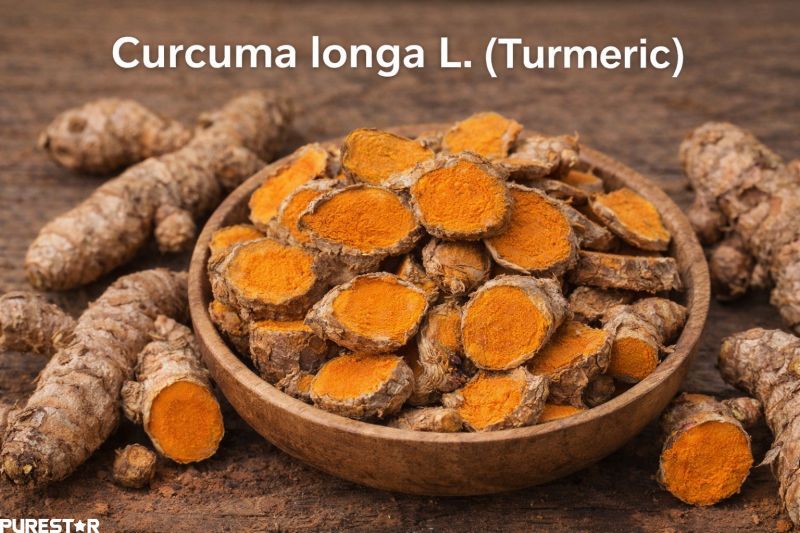 Dried turmeric rhizome slices used for producing Turmeric Root Extract, Curcumin powder 95% HPLC specification