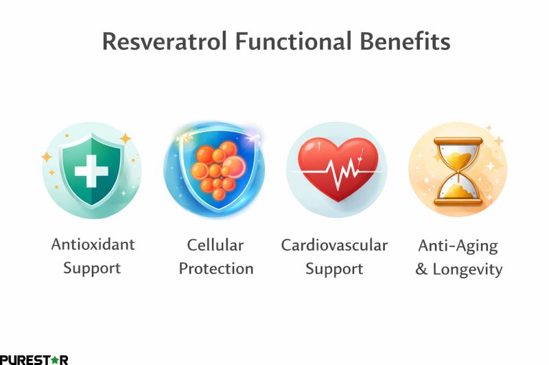 Functional benefits of giant knotweed extract resveratrol including antioxidant support cellular protection cardiovascular health and anti-aging applications