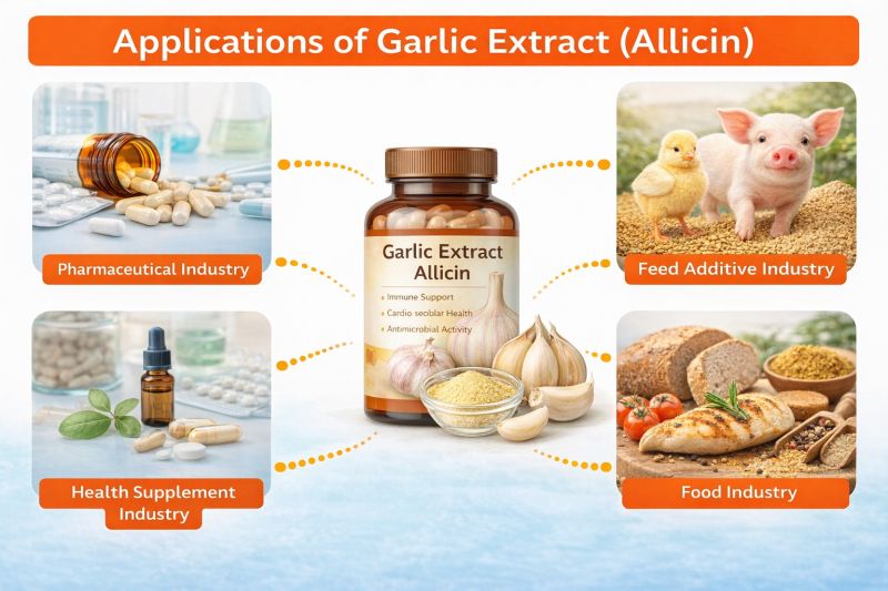 Applications of Garlic Extract Allicin in pharmaceutical industry, feed additives, dietary supplements and functional food products, demonstrating its wide industrial use as a natural plant extract ingredient.