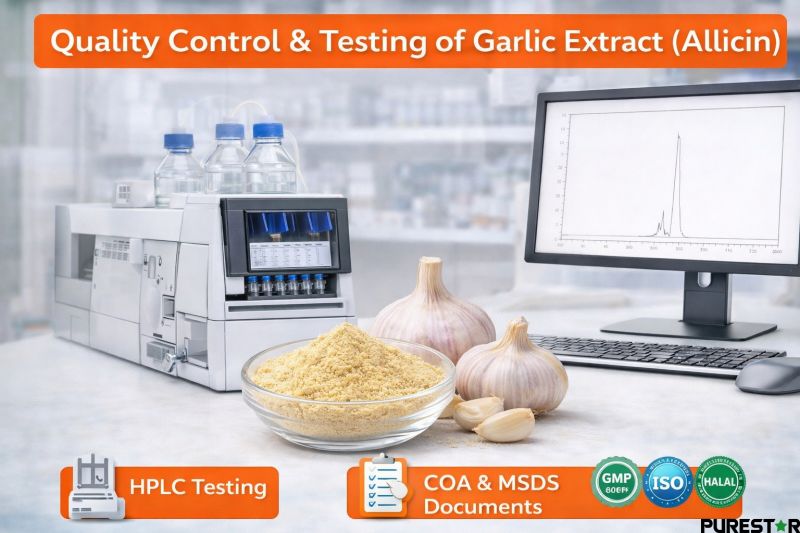 Laboratory quality control testing of Garlic Extract Allicin using HPLC analysis to ensure active compound consistency, purity and compliance with ISO, GMP and international standards.