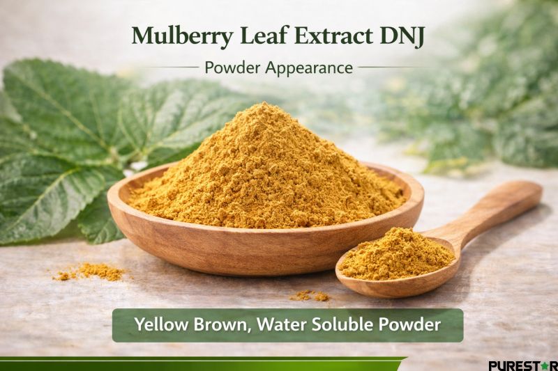 Mulberry Leaf Extract DNJ yellow brown powder appearance water soluble extract powder