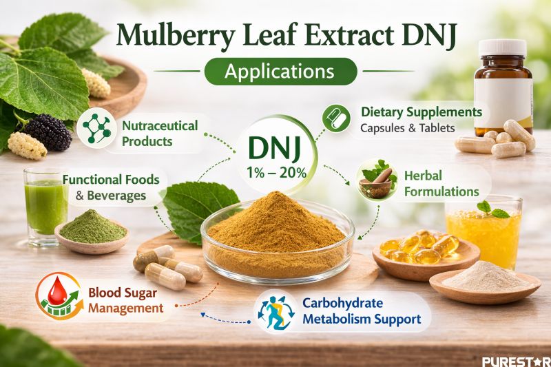 Mulberry Leaf Extract DNJ applications in nutraceutical dietary supplements and functional foods