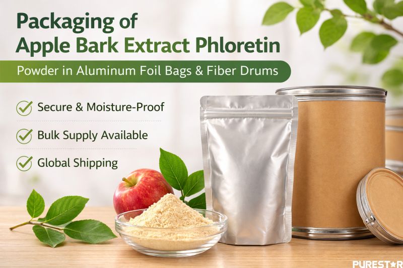 Packaging of Apple Bark Extract Phloretin powder in aluminum foil bags and fiber drums for bulk supply