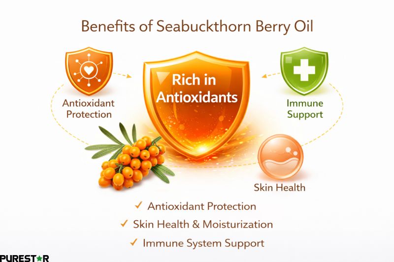 Seabuckthorn Fruit Oil benefits infographic showing antioxidant protection, skin health support, and immune system support with visual icons
