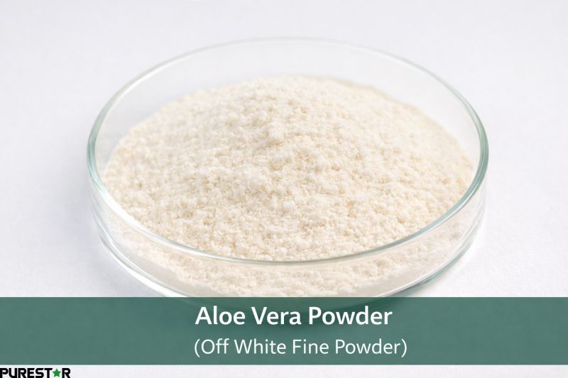 Aloe vera powder off white fine powder in glass dish showing high quality aloe vera powder bulk ingredient
