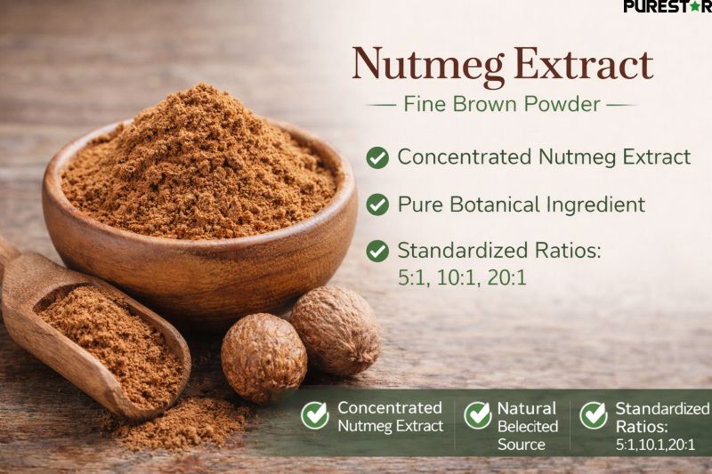 Nutmeg extract powder brown fine powder appearance with standardized ratios 51 101 201 botanical ingredient