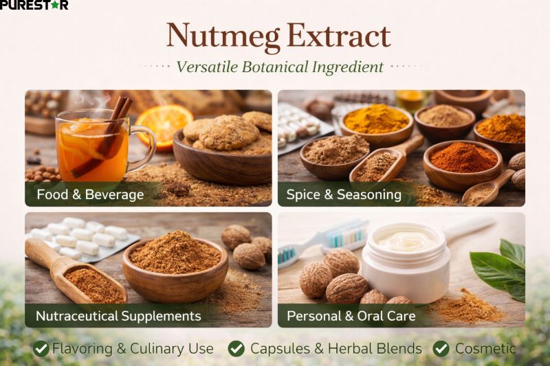 Nutmeg extract applications in food beverage spice seasoning nutraceutical supplements and personal care products