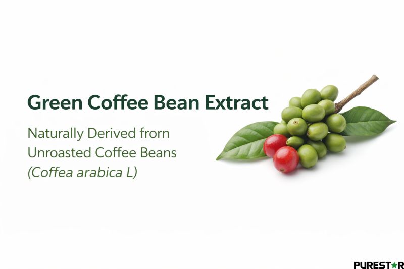 Green coffee bean raw material with fresh leaves showing natural source of green coffee bean extract chlorogenic acid