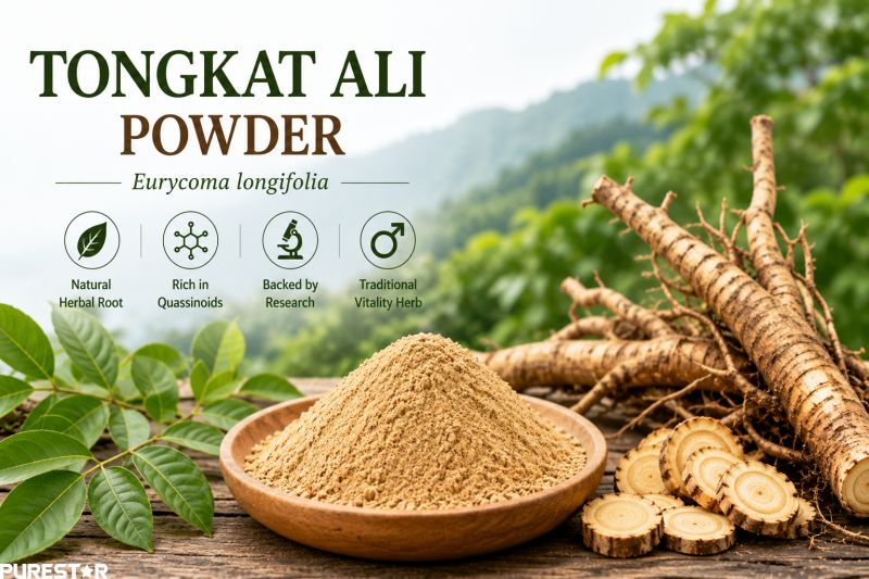 Tongkat Ali powder with Eurycoma longifolia roots and tropical botanical leaves, traditional Southeast Asian medicinal plant ingredient, natural Tongkat Ali powder raw material for herbal formulations and phytochemical research