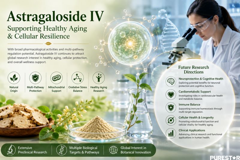 Healthy aging and cellular resilience research infographic of Astragaloside IV with mitochondrial support, oxidative stress balance, and modern nutraceutical science concept
